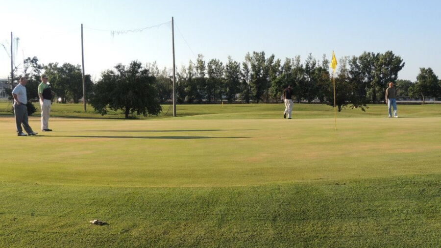 Elmwood GC
