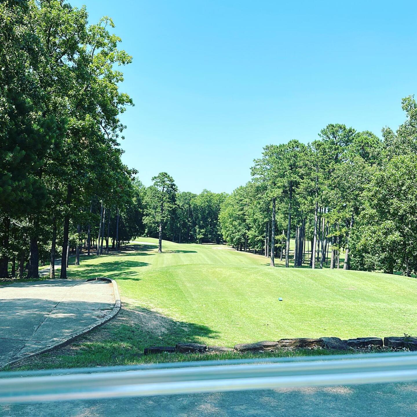 (Photo submitted by Momomonsta on 06/30/2023)