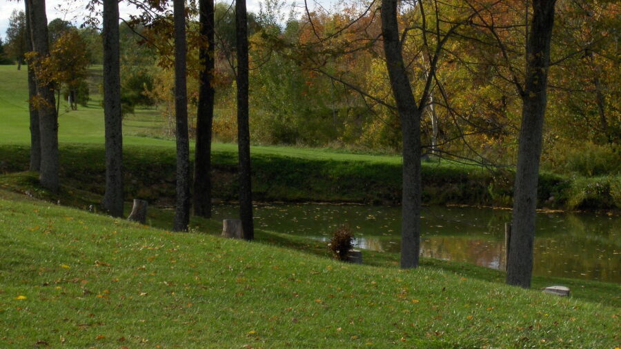 Bayview GC