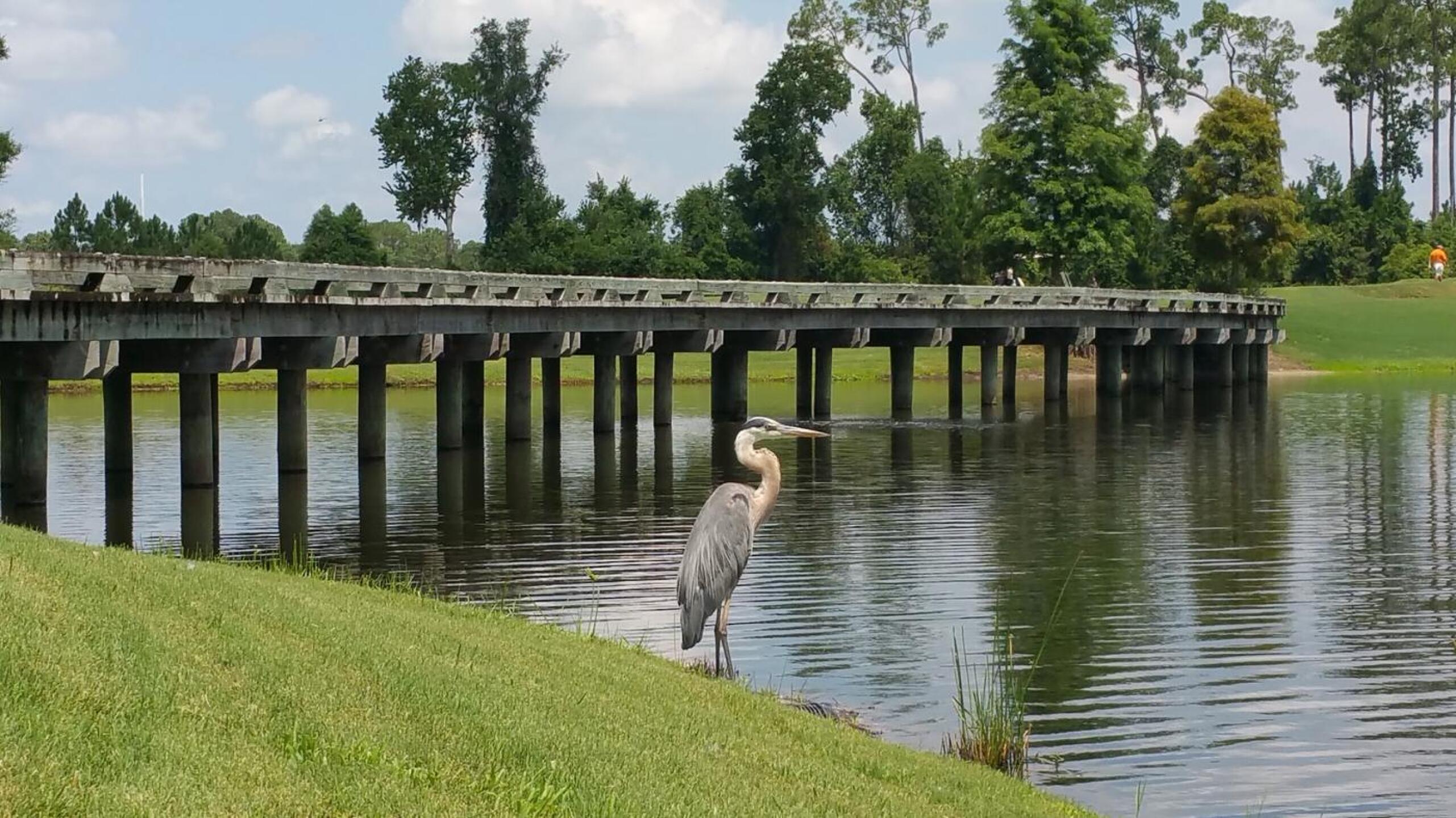 (Photo submitted by Shawn5932249 on 07/05/2015)