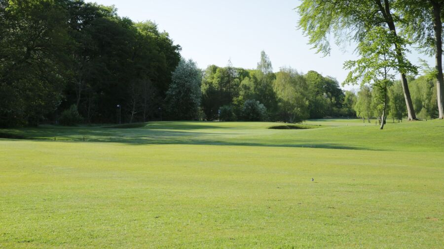 Rungsted GC