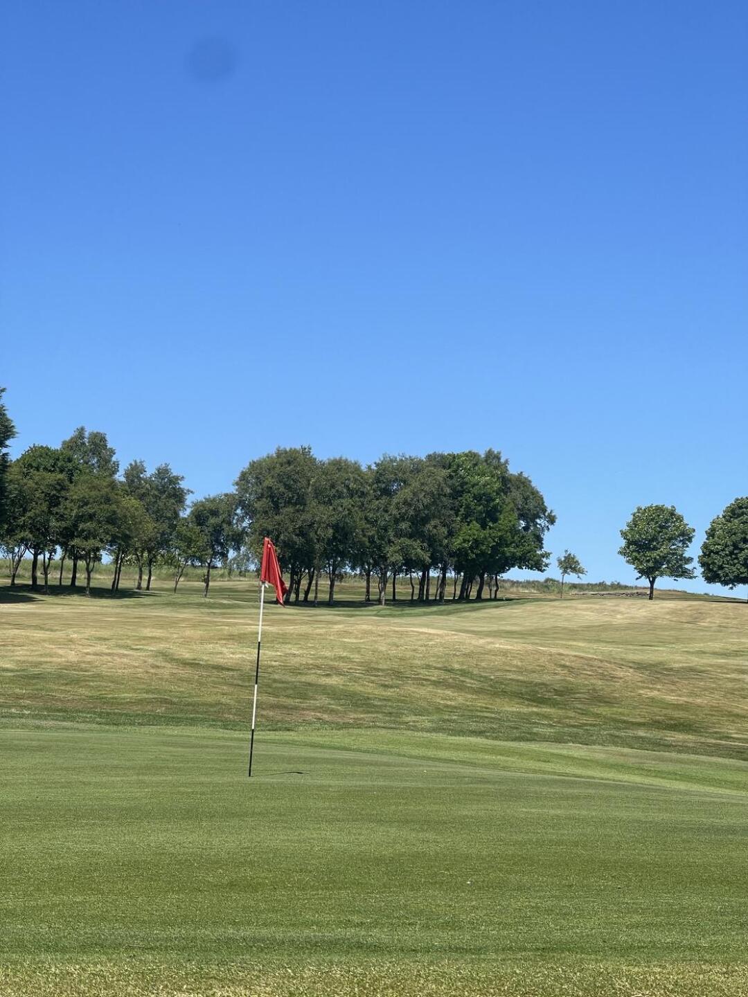 (Photo submitted by super25 on 06/16/2023)