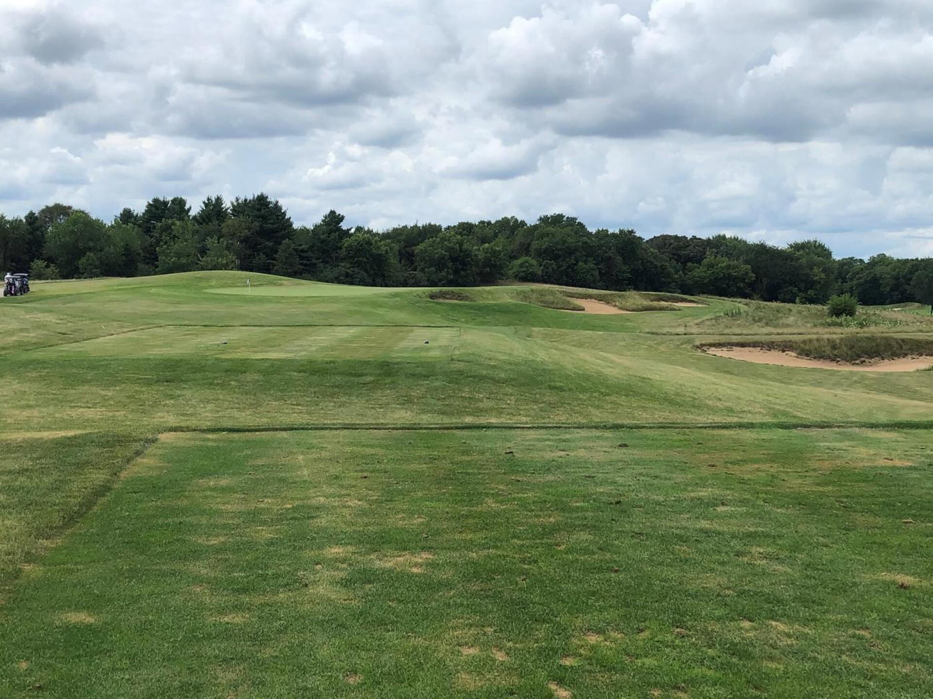 (Photo submitted by Kale1523211 on 08/09/2020)