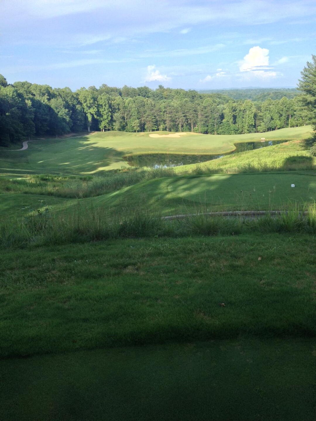 (Photo submitted by lexgolf on 06/15/2015)