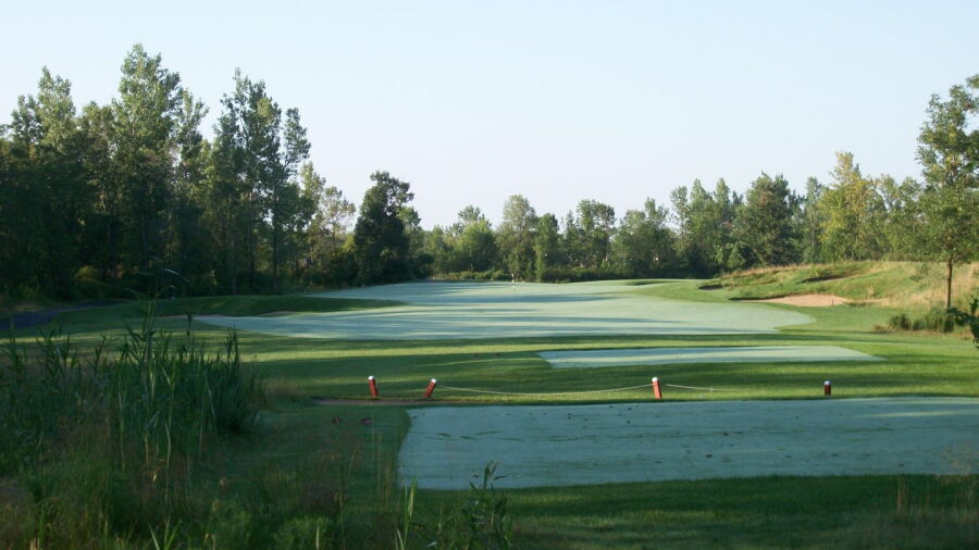 Diamond Hawk GC: #7