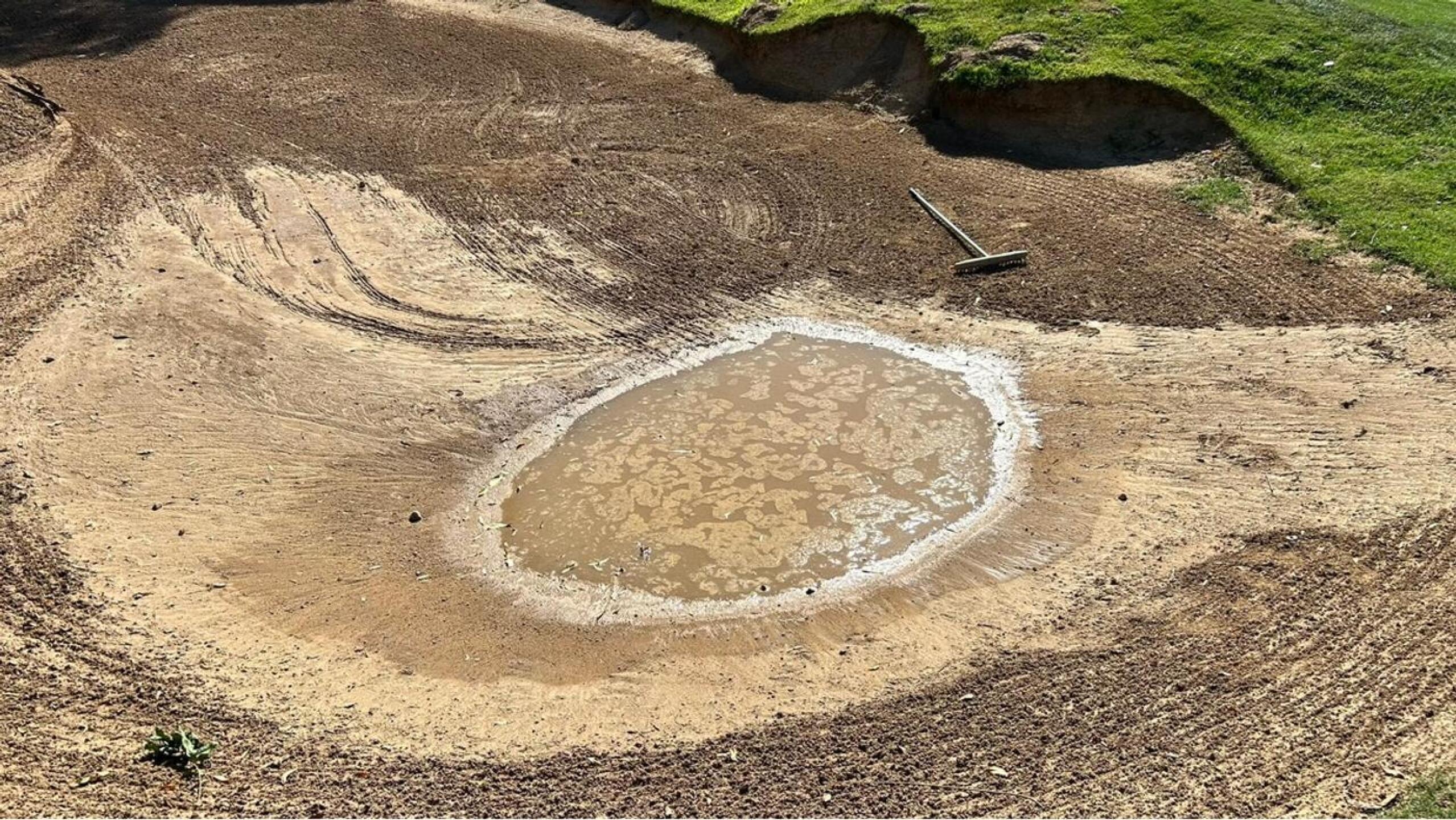 (Photo submitted by u840031358 on 08/09/2024)