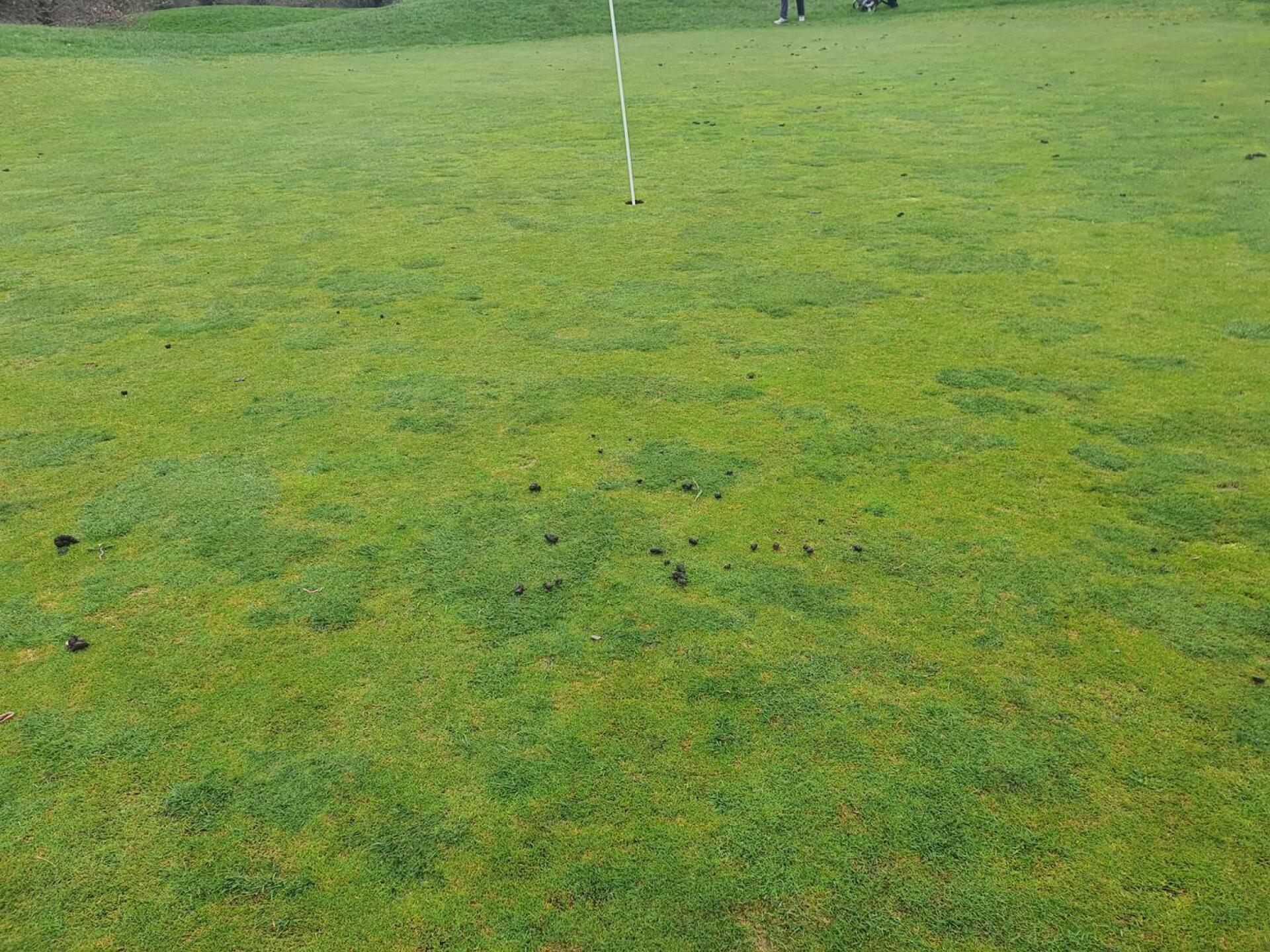 (Photo submitted by RG2BC0A7B9DE3B5A8C23 on 04/02/2023)