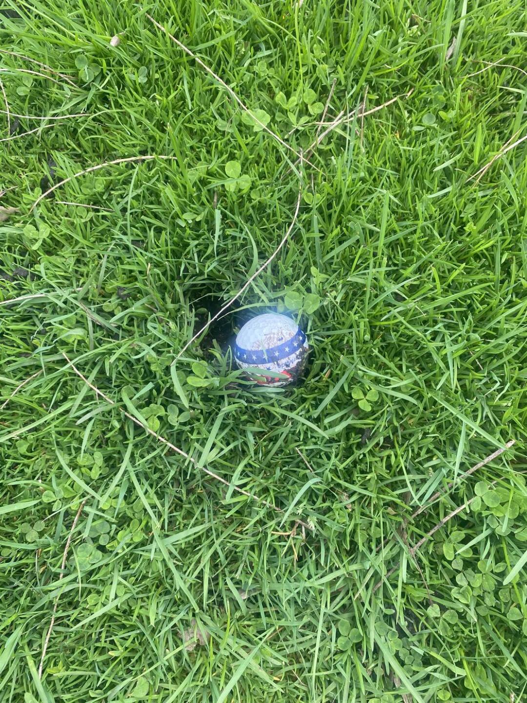 (Photo submitted by Gatorcon on 04/17/2026)