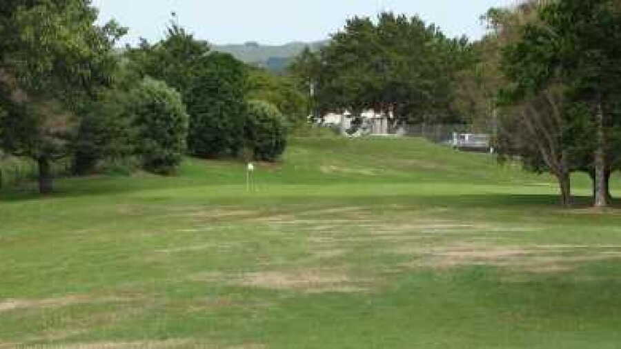 Waiuku GSC: #7