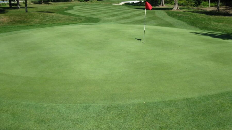 Birch Run GC: #7
