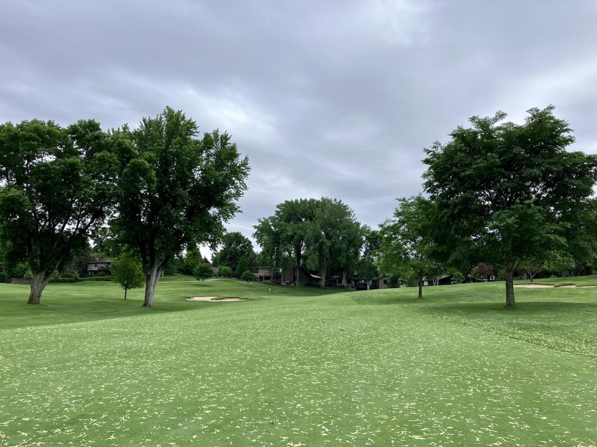 (Photo submitted by BrandonWebb on 06/13/2024)