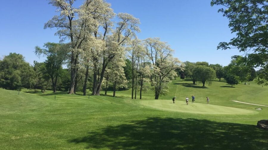 Byron Hills GC: #3