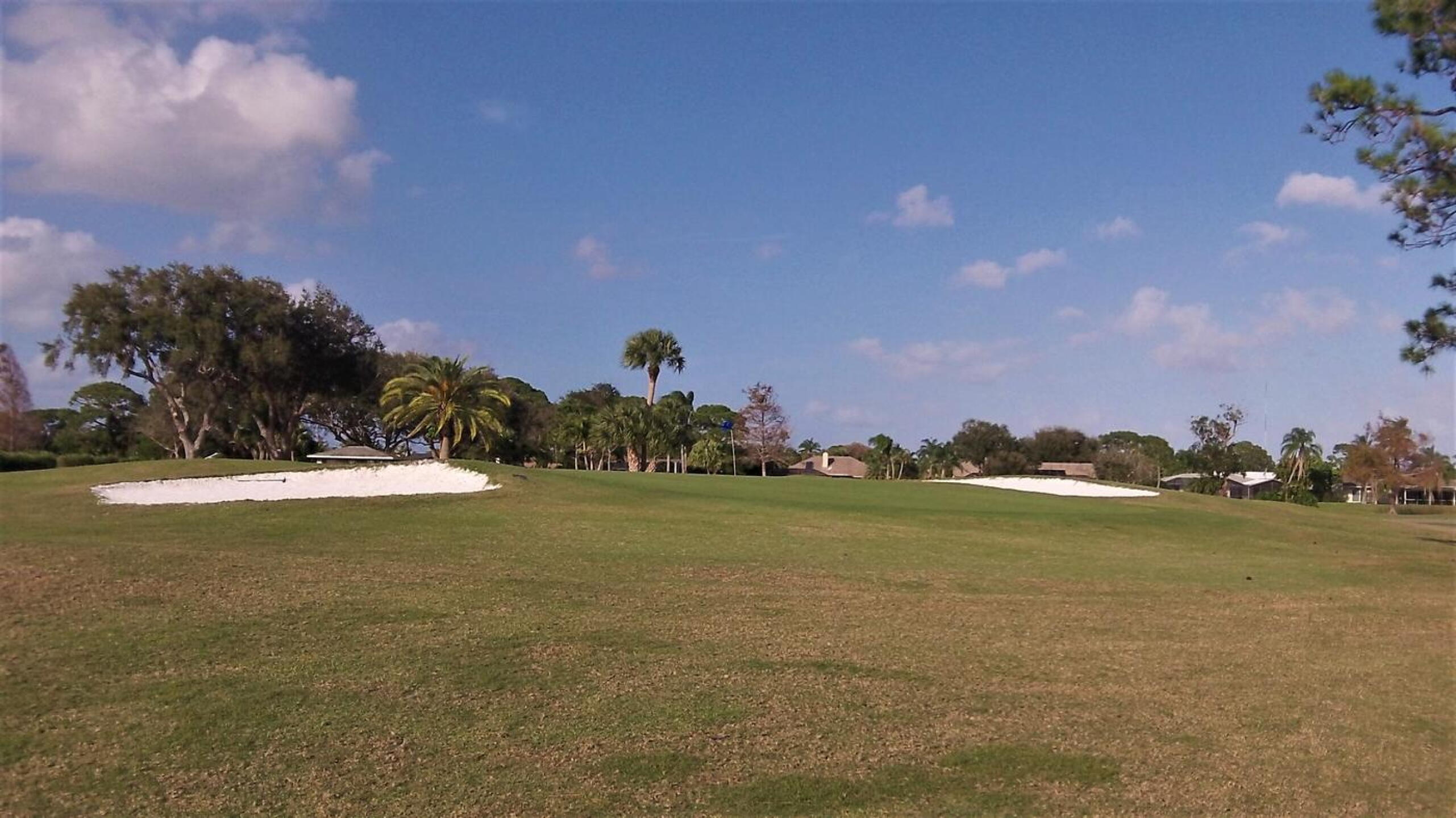Opening to green at par-4 fourth. (Photo submitted by AptlyLinked on 01/26/2020)
