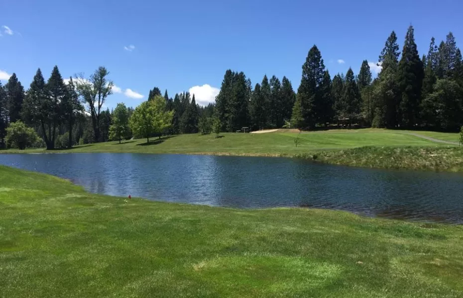Sequoia Woods CC
