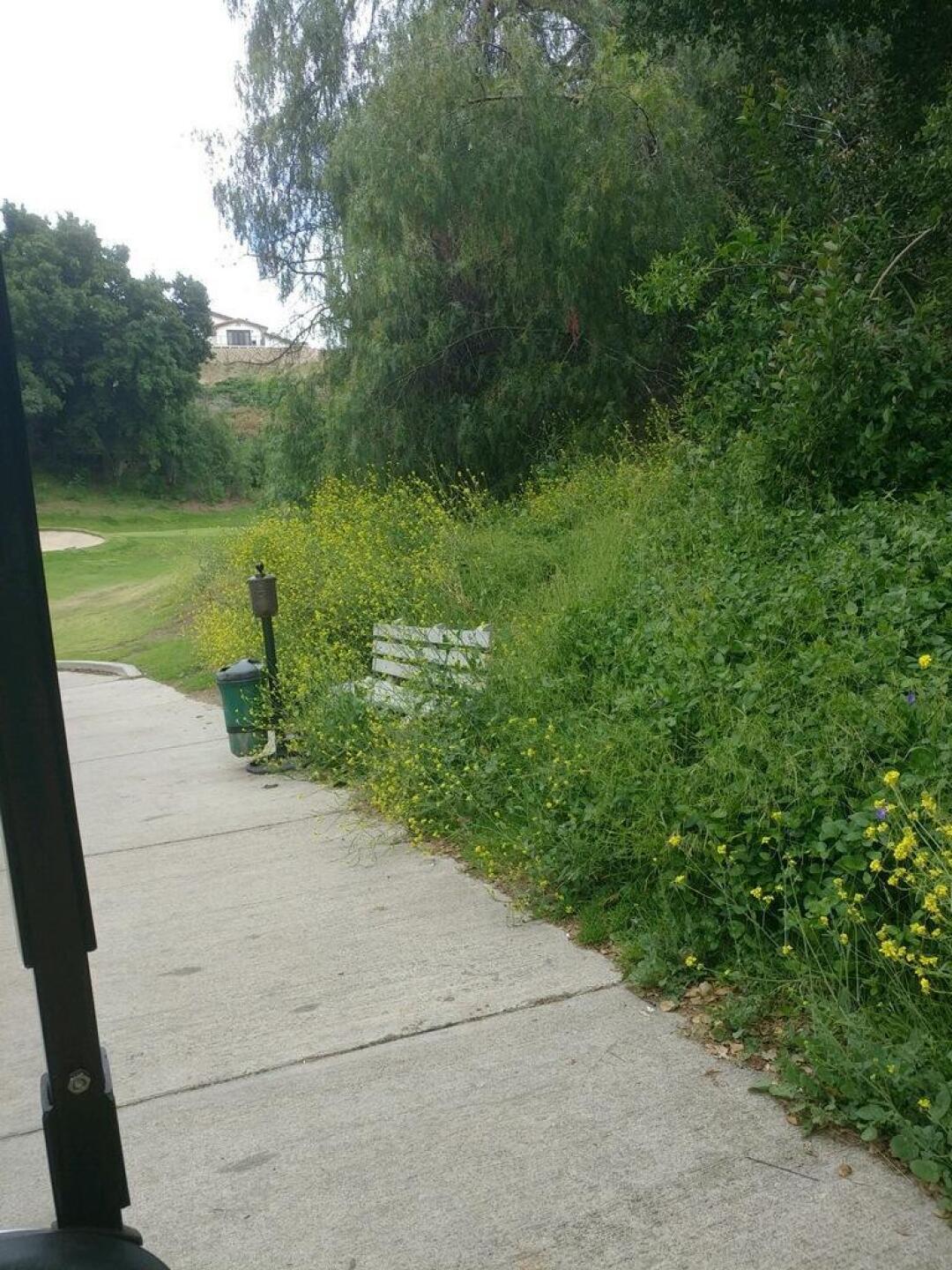 (Photo submitted by VNJKfa7YkEesBKuGnWSt on 05/27/2019)