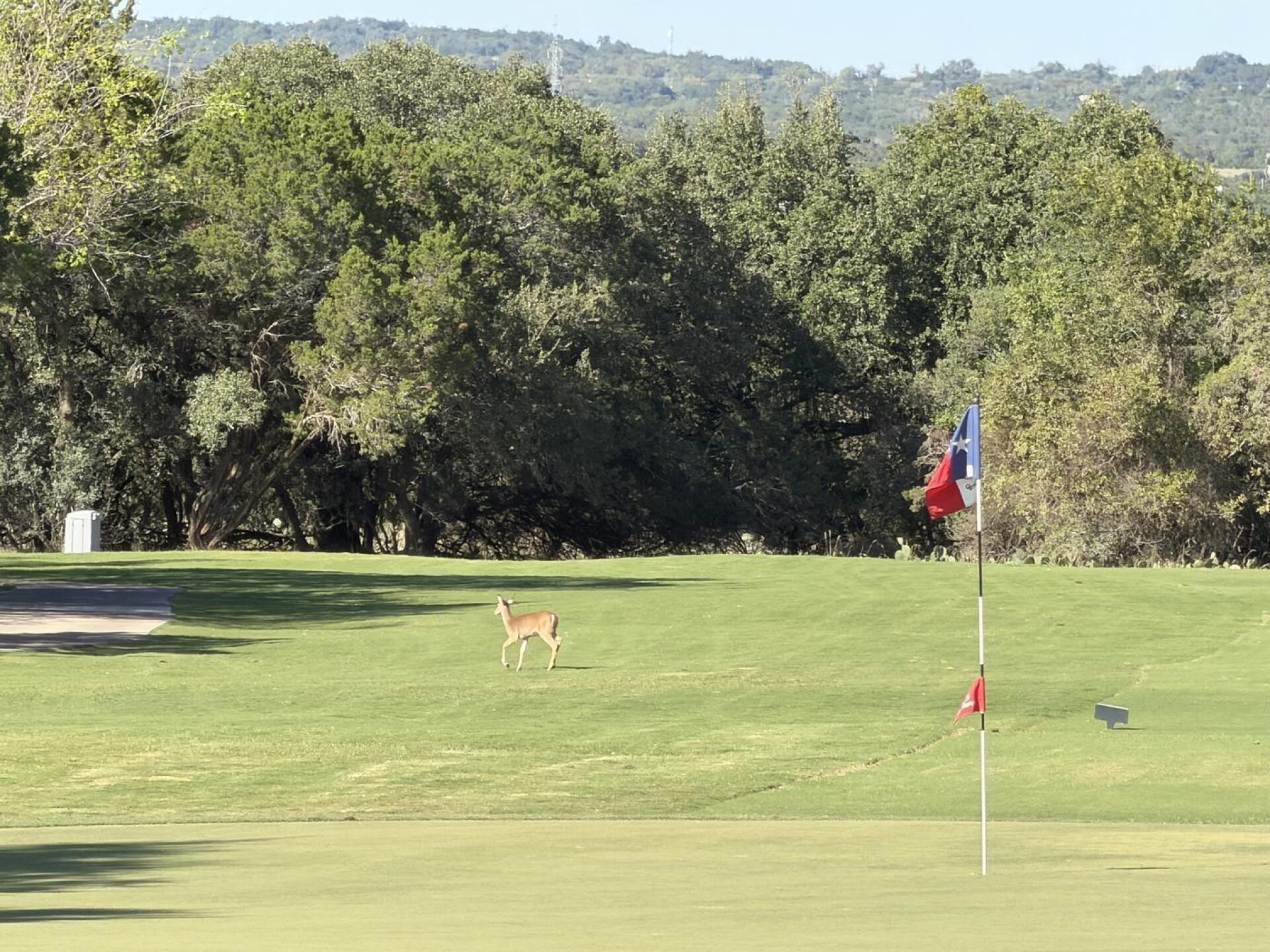 (Photo submitted by jdtgolf1 on 10/19/2026)