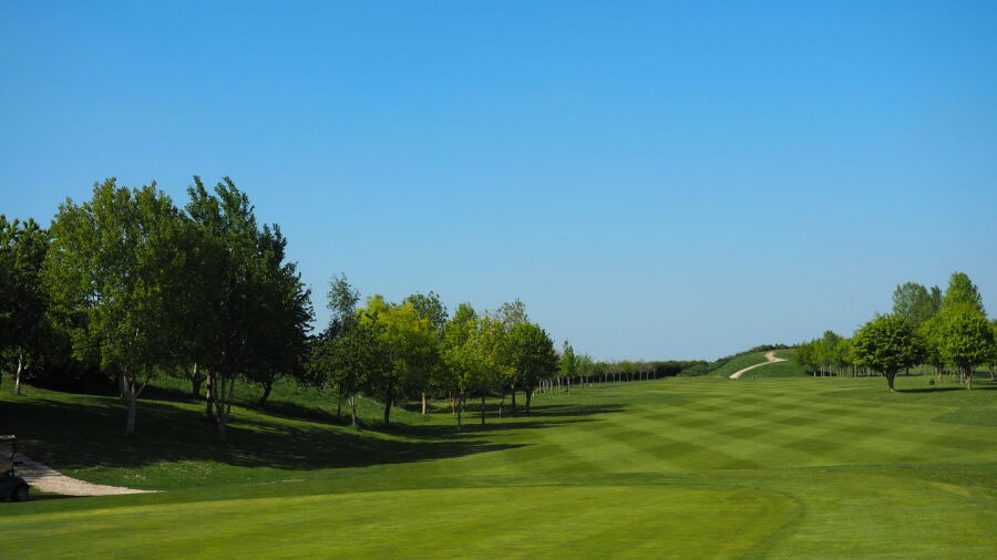 Colmworth & North Beds GC: #16