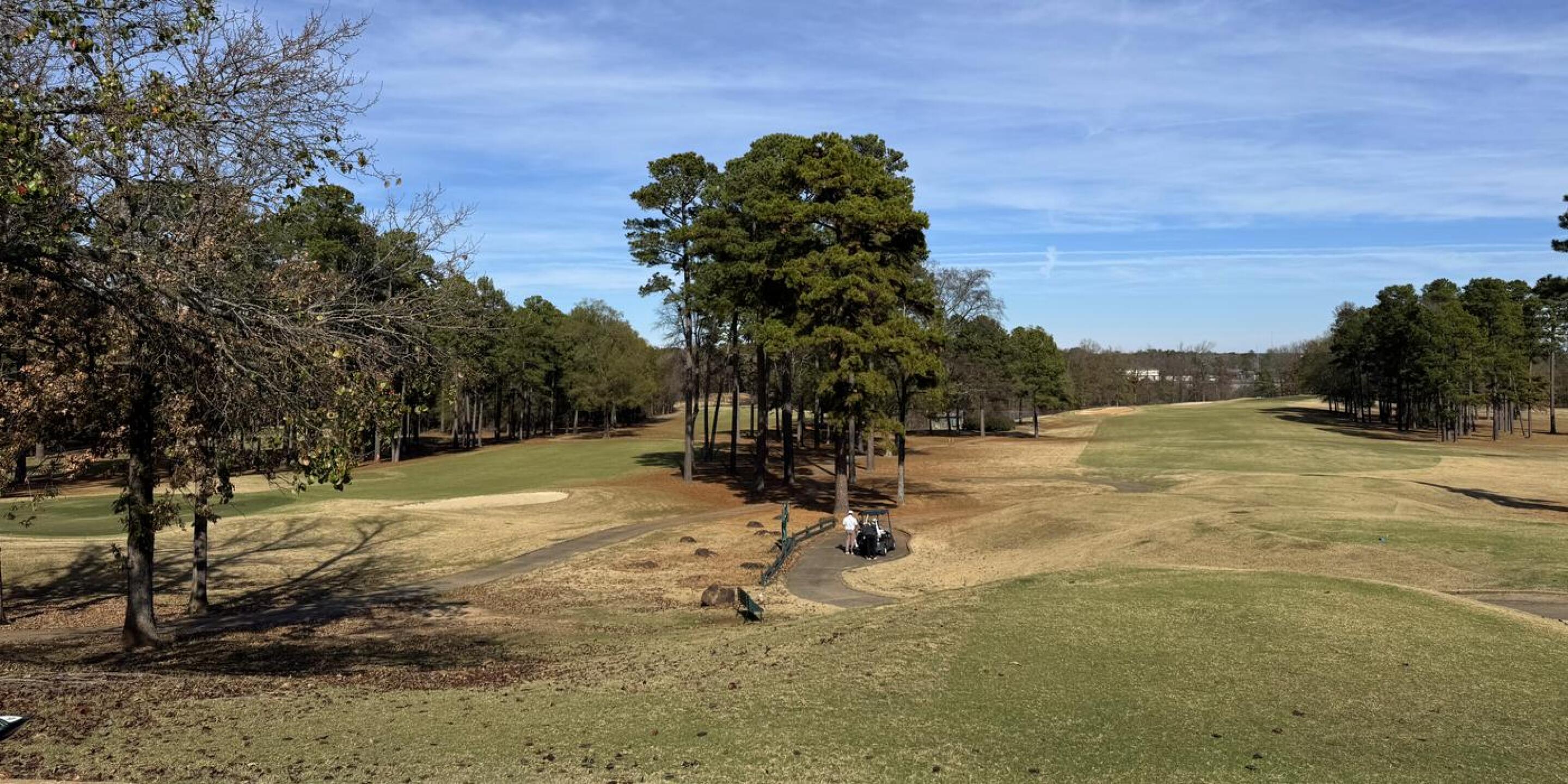 (Photo submitted by u152449341 on 12/08/2025)