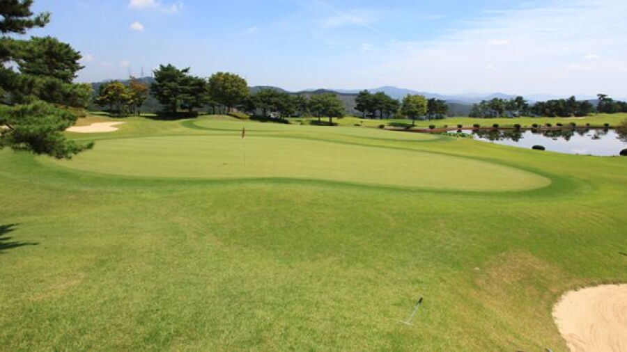 Shinan CC - Tomato: #4