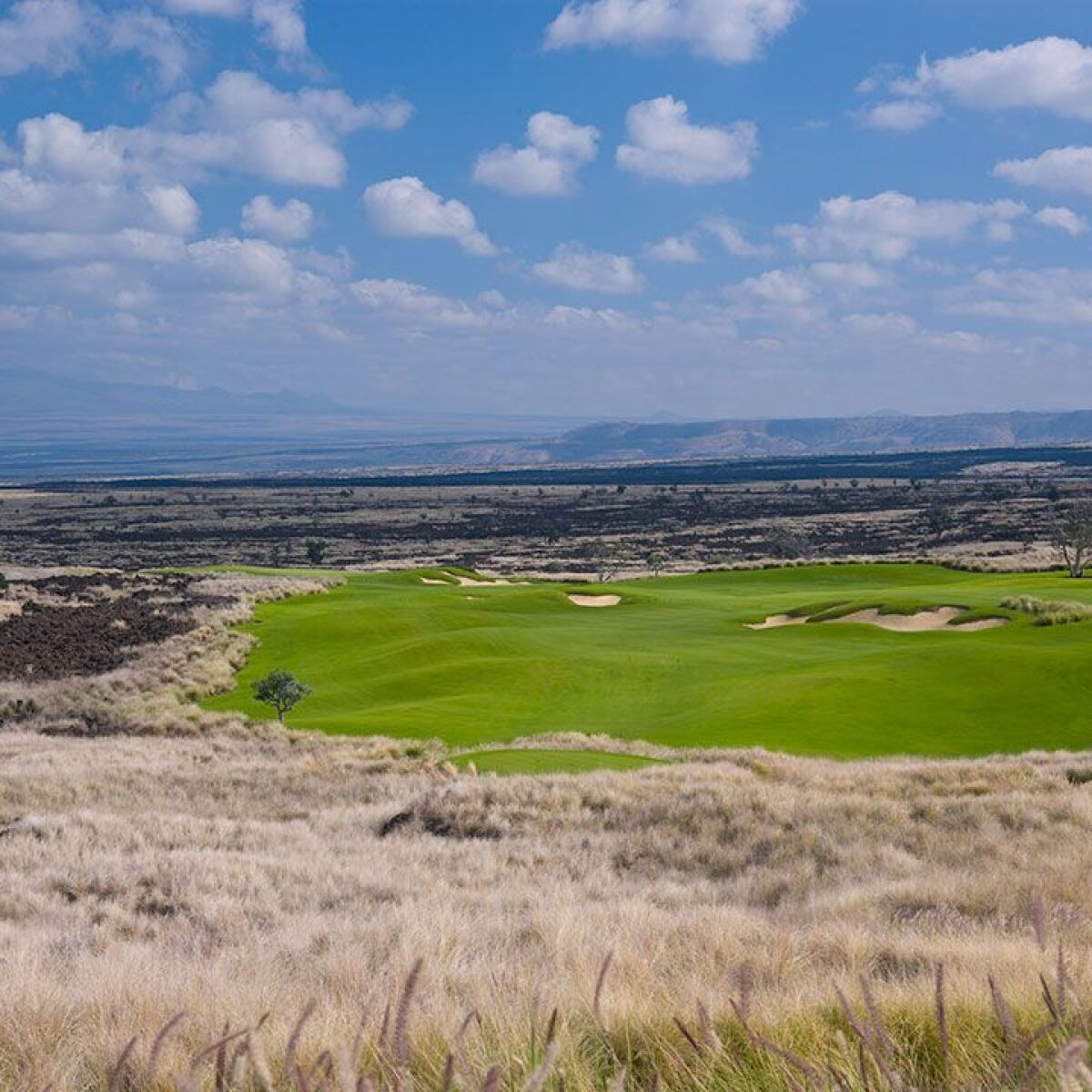 Nanea Golf Club in Kailua Kona, Hawaii, USA Golf Advisor