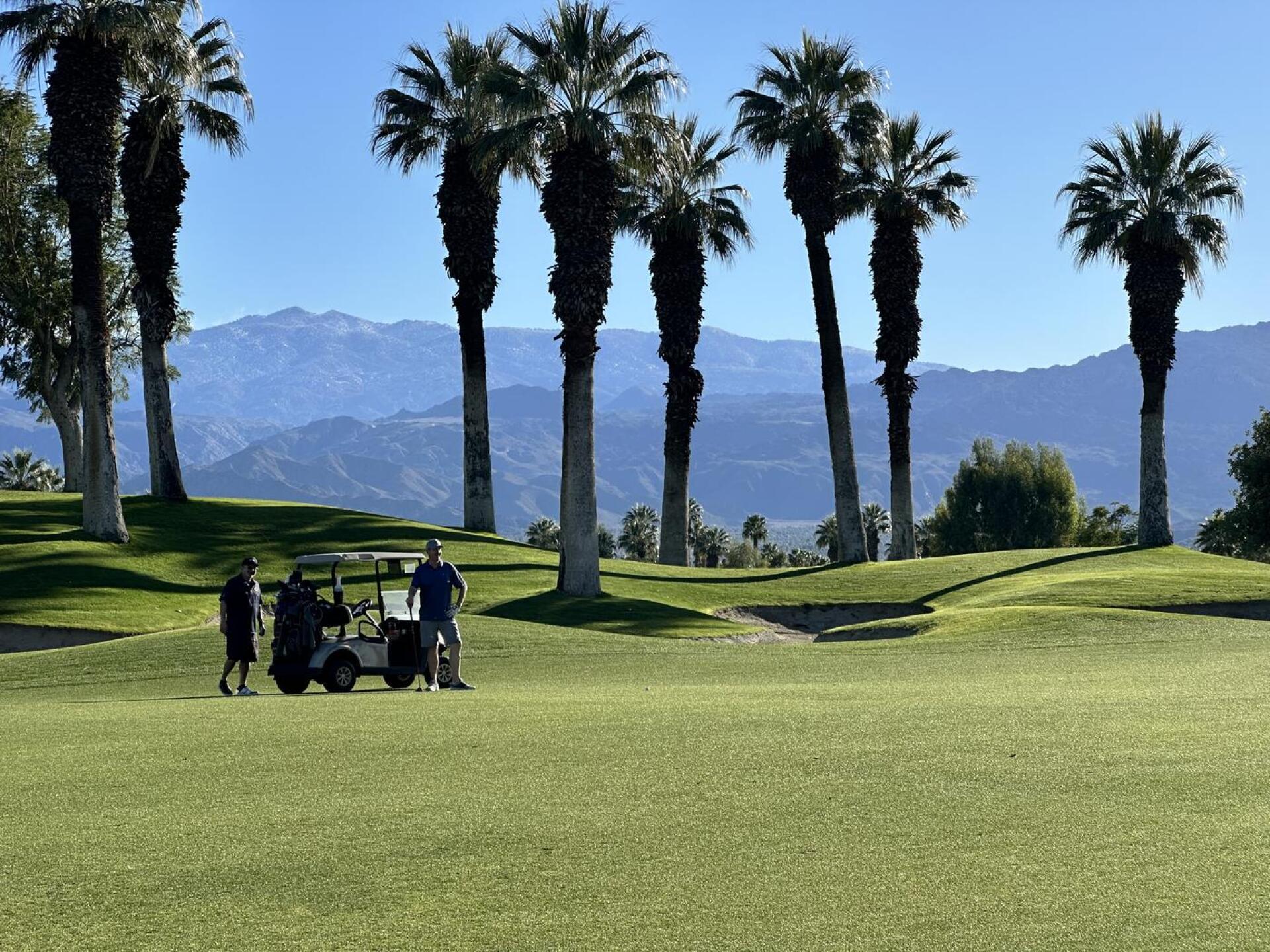 The Palms (Photo submitted by 5KXCWuqlEqOemJUl0uY1 on 02/23/2026)