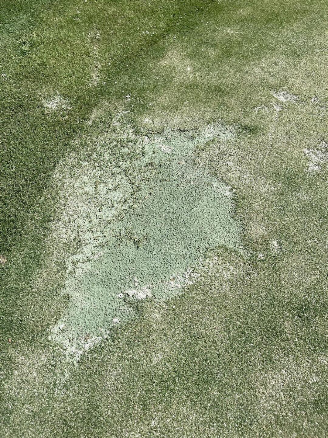 (Photo submitted by u9992629 on 08/21/2021)