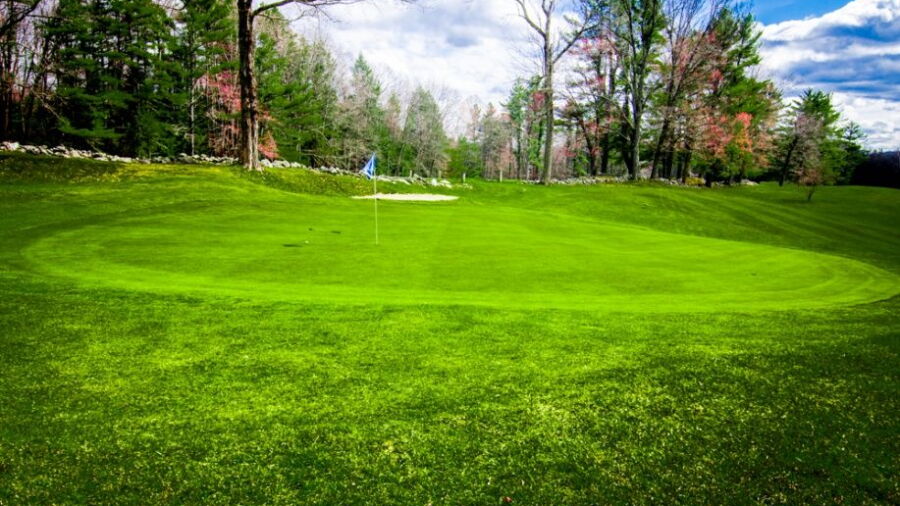 Hooper GC: #4