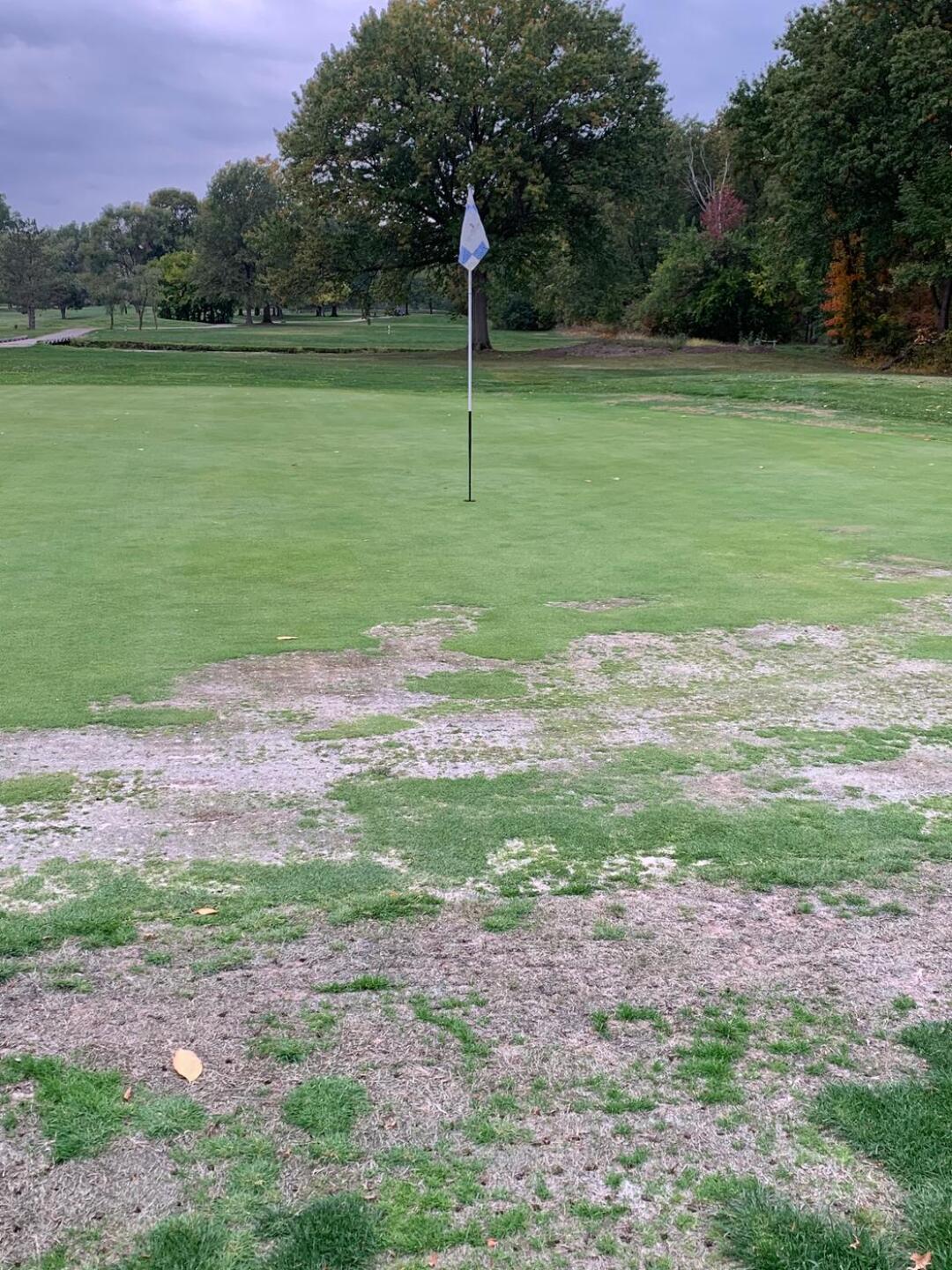 Check out the green on 6th hole. (Photo submitted by u314160630956 on 10/10/2020)