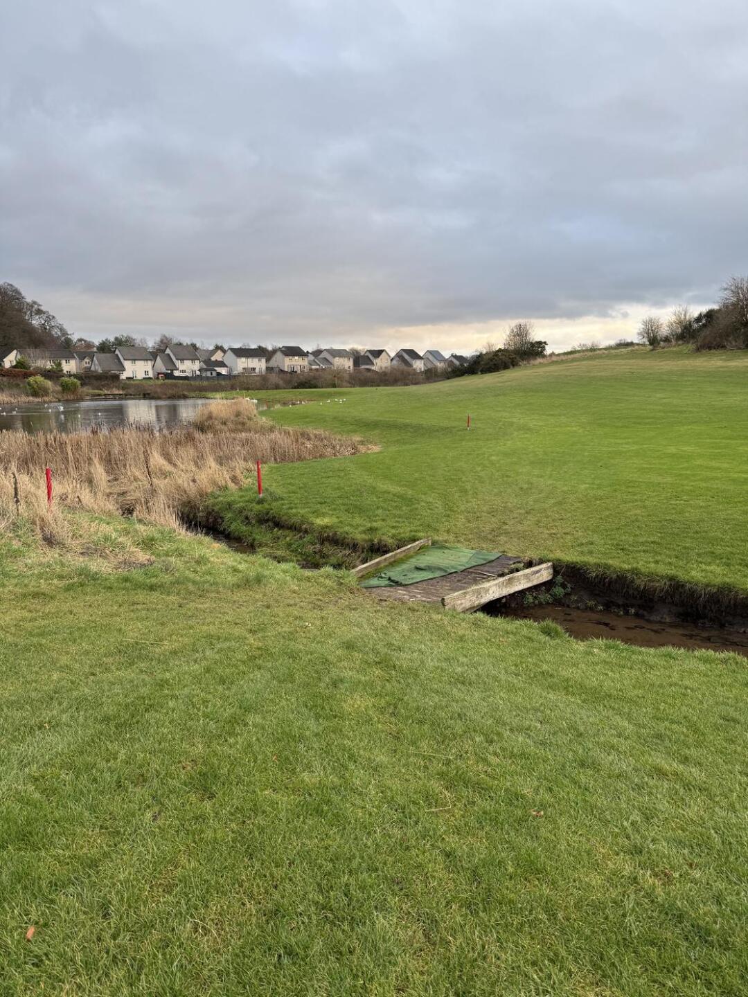 (Photo submitted by u314159608452 on 12/29/2024)