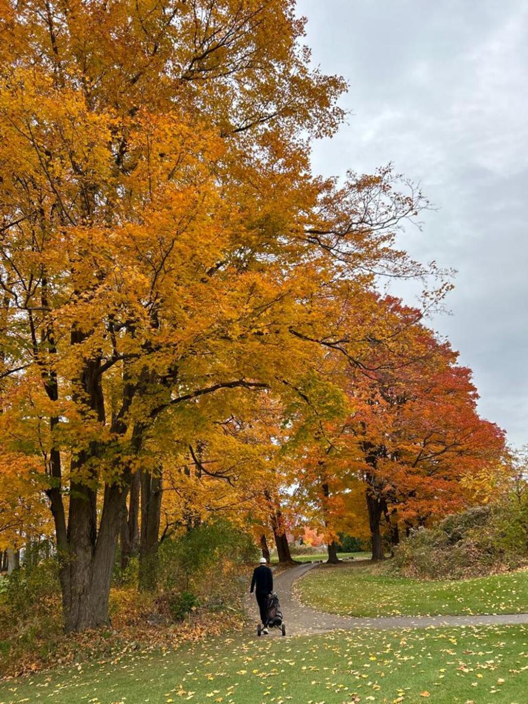 (Photo submitted by Merv4 on 10/26/2023)