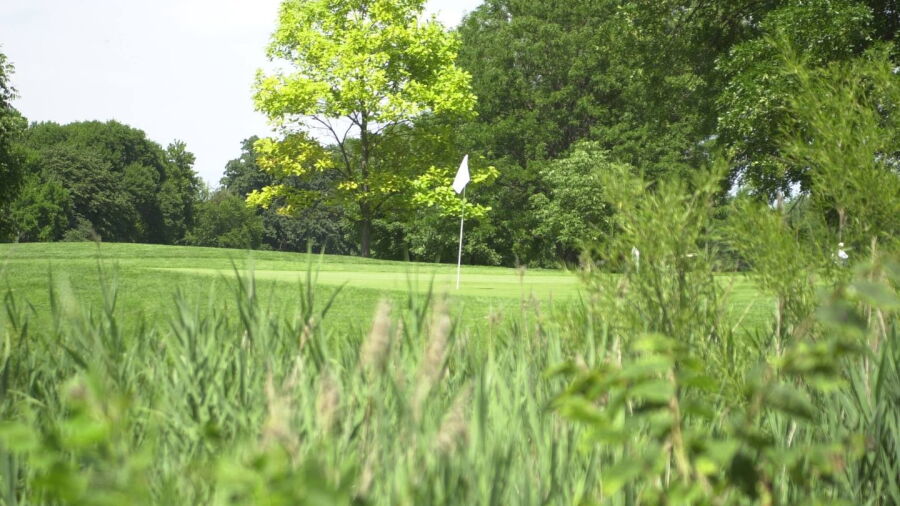 Joe Louis GC