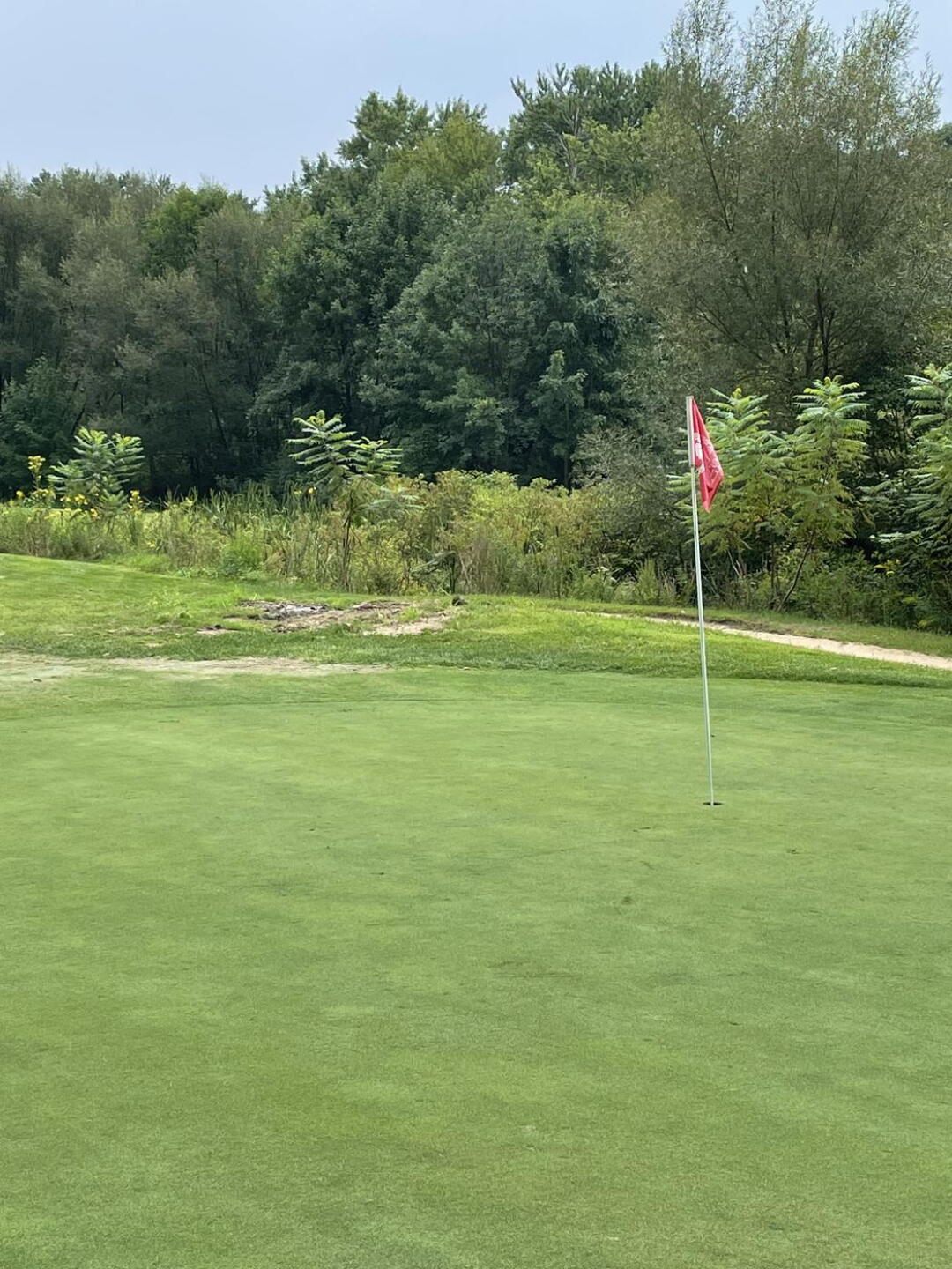 14th green, all torn up (Photo submitted by u625100169 on 08/22/2021)