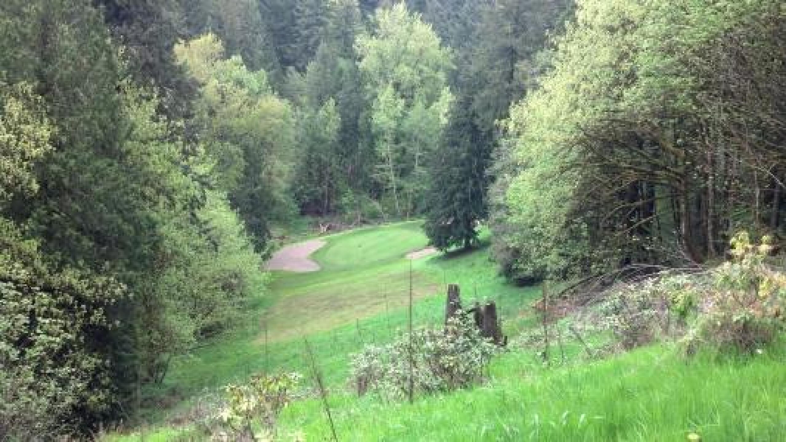 12th hole (Photo submitted by Firewild on 04/30/2013)