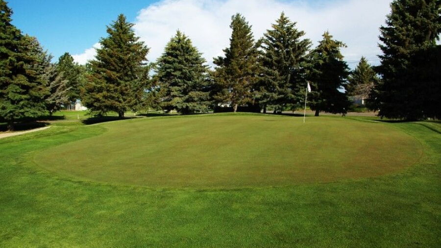 Idaho Falls CC: #10