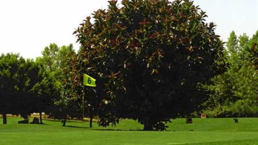 El Coto GC: #6