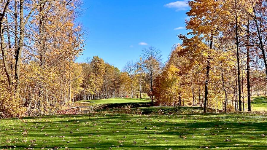 Noble Hawk Golf Links - fall leaves