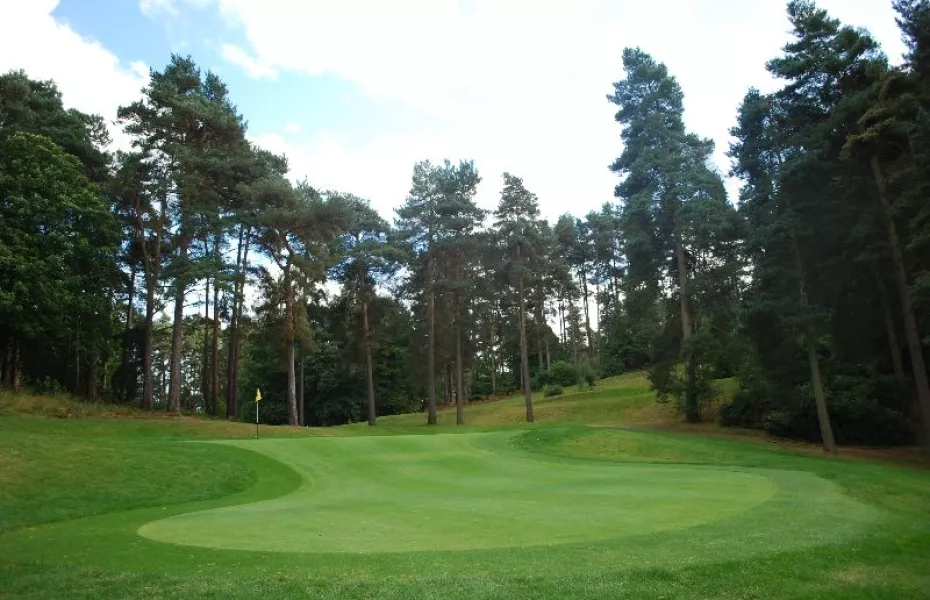 Old Thorns Manor HGCE: #15