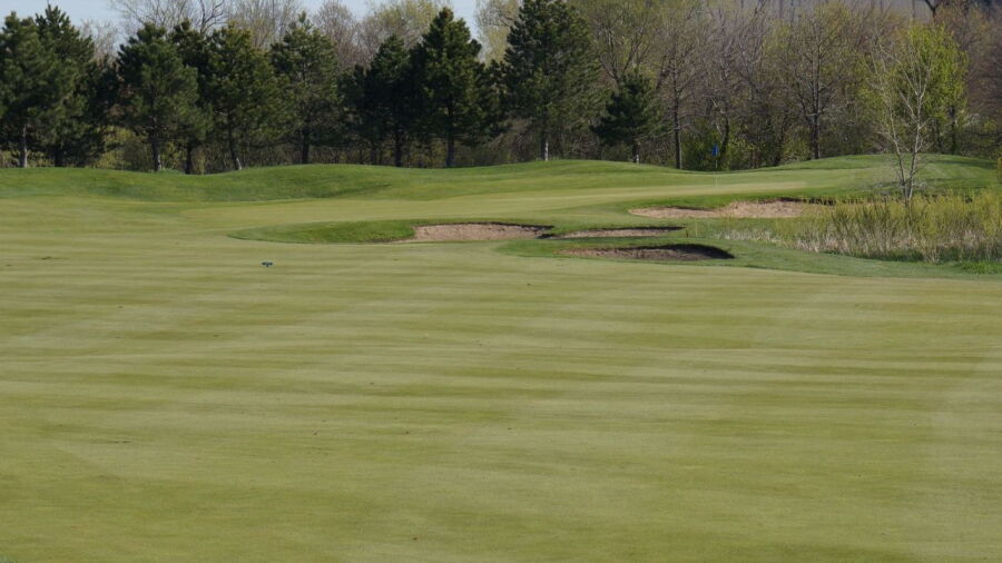 White Hawk CC - Red Hawk Nine: #5