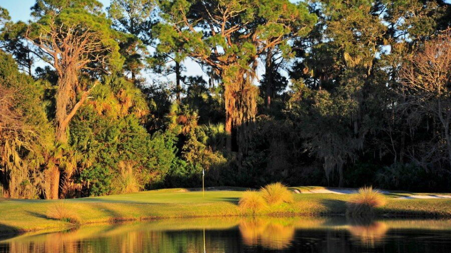 The Preserve at Turnbull Bay: #15