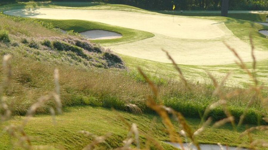Bayview CC