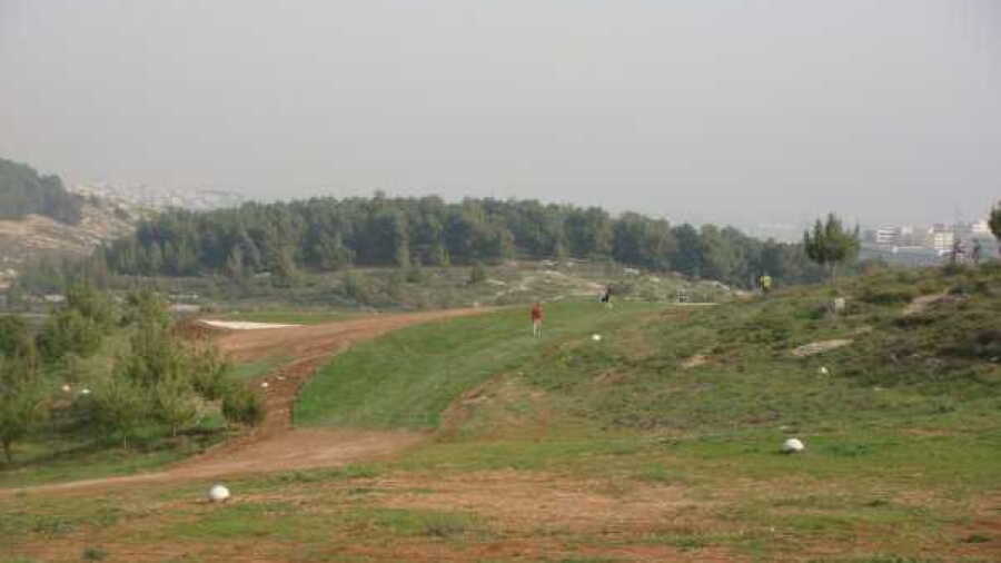 Bisharat GC: #9