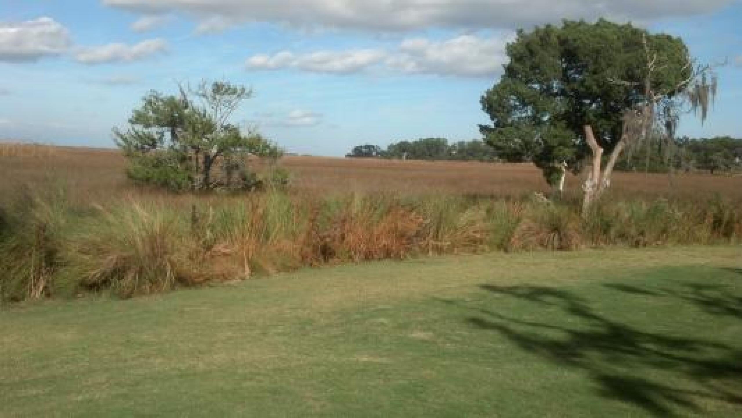 View of marsh on #13 (Photo submitted by td5780 on 11/13/2013)