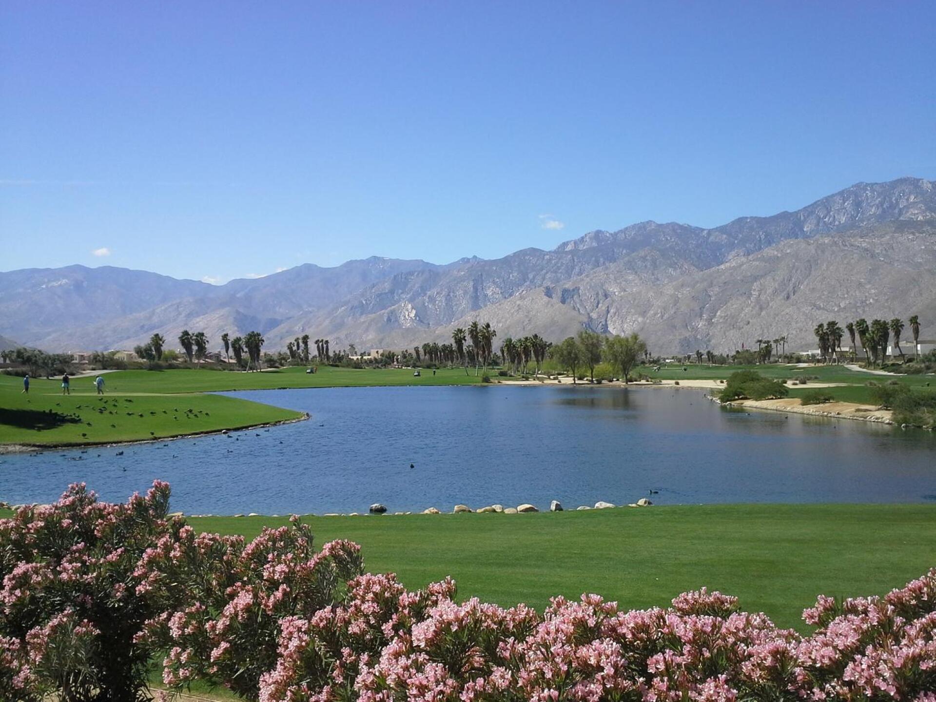 (Photo submitted by hacksalot03 on 03/28/2017)