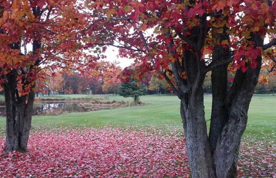 Club de Golf Charny: #3