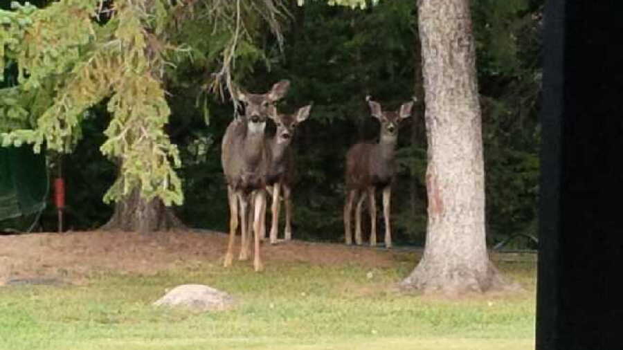 Spirit Creek GC