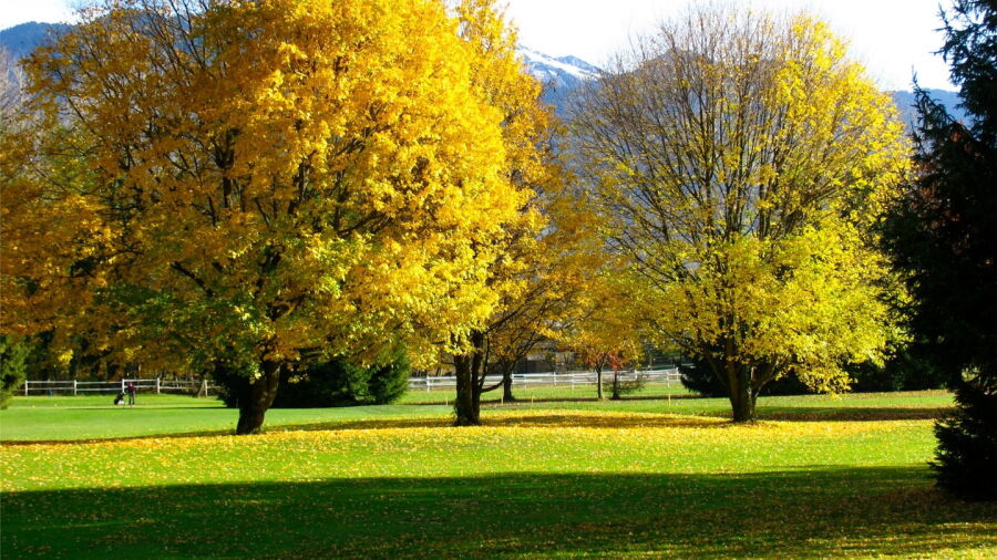Les Coullaux GC