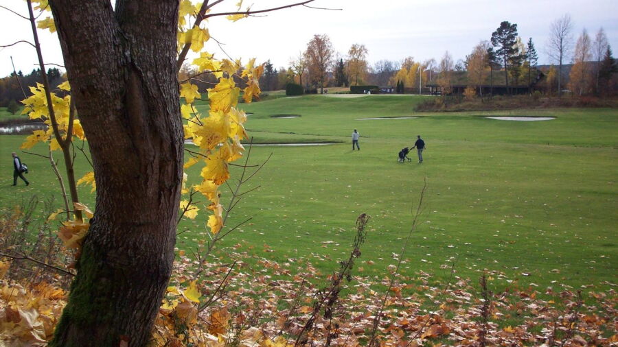 Grenland & Omegn GC