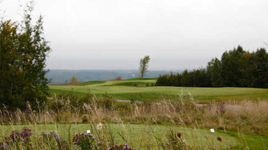 Hockley Valley GC: 9th green