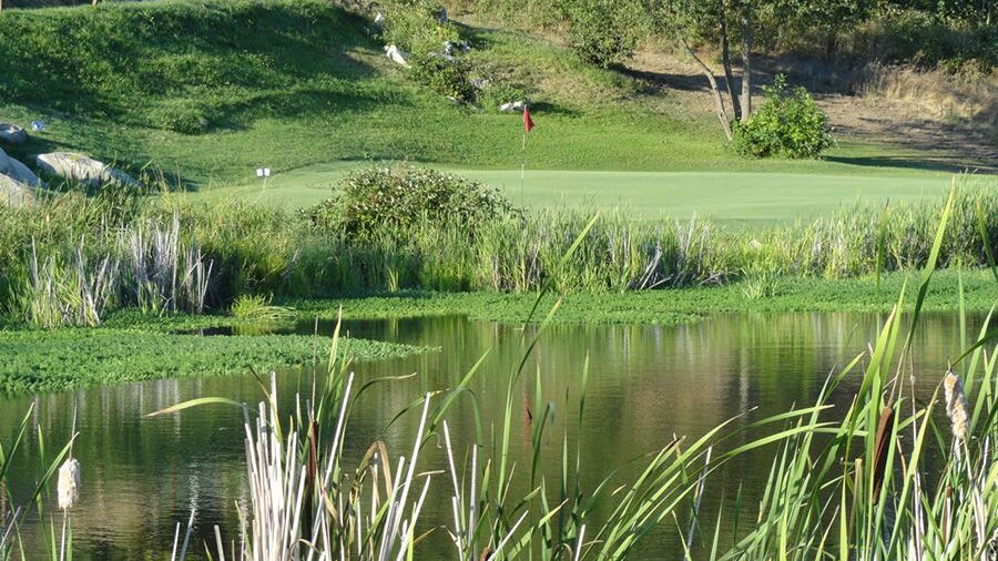 Dutcher Creek GC