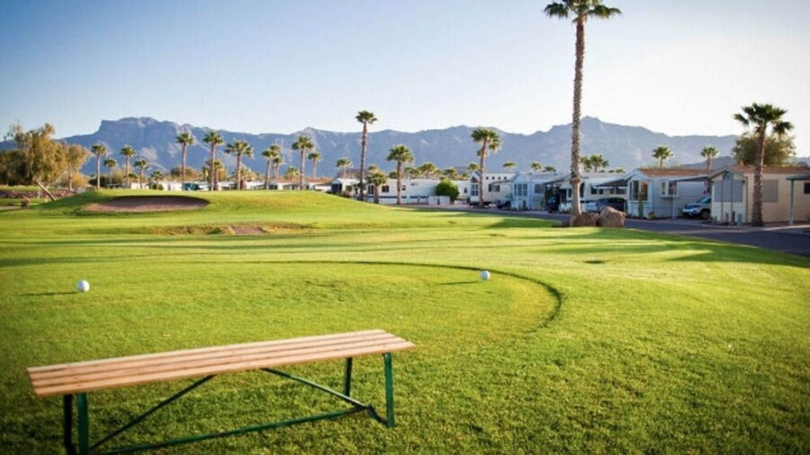 Gold Canyon RV & Golf Resort: #8